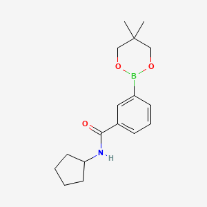 B1452248 N-cyclopentyl-3-(5,5-dimethyl-1,3,2-dioxaborinan-2-yl)benzamide CAS No. 850567-45-2