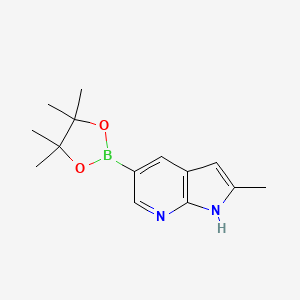 molecular formula C14H19BN2O2 B1452318 2-甲基-5-(4,4,5,5-四甲基-1,3,2-二氧杂硼环-2-基)-1H-吡咯并[2,3-b]吡啶 CAS No. 1111638-03-9
