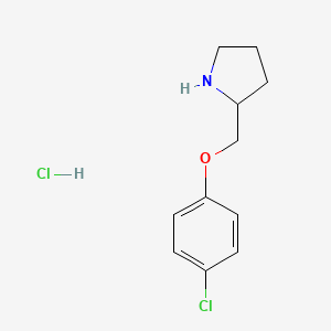 molecular formula C11H15Cl2NO B1452341 2-((4-Chlorophenoxy)methyl)pyrrolidine hydrochloride CAS No. 1864073-88-0
