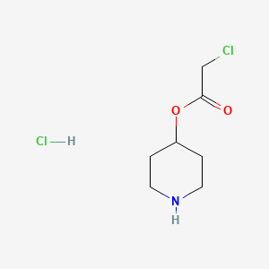 molecular formula C7H13Cl2NO2 B1452345 4-哌啶基 2-氯乙酸盐酸盐 CAS No. 1220020-42-7