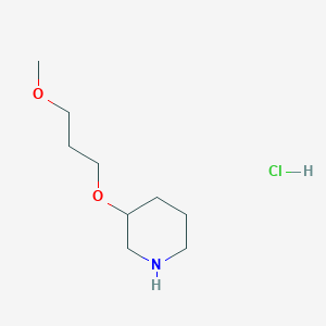 molecular formula C9H20ClNO2 B1452365 3-(3-甲氧基丙氧基)哌啶盐酸盐 CAS No. 1219981-22-2