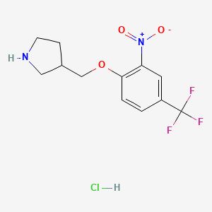 molecular formula C12H14ClF3N2O3 B1452398 3-{[2-硝基-4-(三氟甲基)苯氧基]-甲基}吡咯烷盐酸盐 CAS No. 1220020-52-9