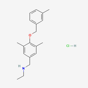 molecular formula C19H26ClNO B1452459 ({3,5-二甲基-4-[(3-甲基苯基)甲氧基]苯基}甲基)(乙基)胺盐酸盐 CAS No. 1311317-08-4