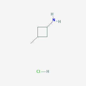 molecular formula C5H12ClN B1453027 3-Methylcyclobutanamine hydrochloride CAS No. 89381-07-7
