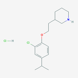 B1453056 3-[2-(2-Chloro-4-isopropylphenoxy)ethyl]-piperidine hydrochloride CAS No. 1220029-28-6