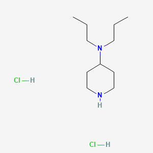 molecular formula C11H26Cl2N2 B1453080 N,N-二丙基-4-哌啶胺二盐酸盐 CAS No. 1220037-98-8