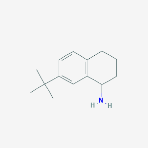 molecular formula C14H21N B1453116 7-叔丁基-1,2,3,4-四氢萘-1-胺 CAS No. 1082475-32-8