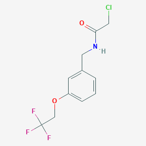 molecular formula C11H11ClF3NO2 B1453152 2-氯-N-{[3-(2,2,2-三氟乙氧基)苯基]甲基}乙酰胺 CAS No. 1258640-35-5