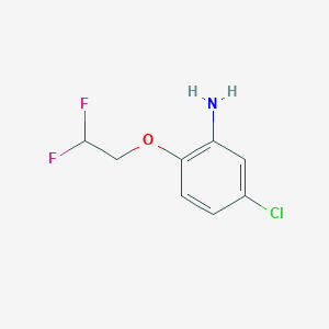 molecular formula C8H8ClF2NO B1453182 5-Chloro-2-(2,2-difluoroethoxy)aniline CAS No. 1183531-14-7