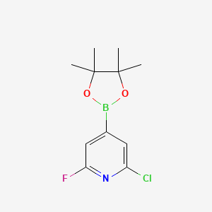 molecular formula C11H14BClFNO2 B1453392 2-氯-6-氟-4-(4,4,5,5-四甲基-1,3,2-二氧杂硼烷-2-基)吡啶 CAS No. 1146615-89-5