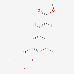 molecular formula C11H9F3O3 B1453396 3-Methyl-5-(trifluoromethoxy)cinnamic acid CAS No. 1005378-68-6