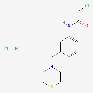 molecular formula C13H18Cl2N2OS B1453495 2-chloro-N-[3-(thiomorpholin-4-ylmethyl)phenyl]acetamide hydrochloride CAS No. 1221723-47-2