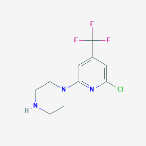 molecular formula C10H11ClF3N3 B1453684 1-[6-氯-4-(三氟甲基)吡啶-2-基]哌嗪 CAS No. 750628-50-3