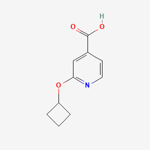 molecular formula C10H11NO3 B1453941 2-Cyclobutoxypyridine-4-carboxylic acid CAS No. 1247662-13-0