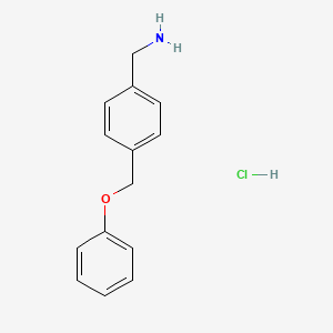 molecular formula C14H16ClNO B1453958 [4-(苯氧甲基)苯基]甲胺盐酸盐 CAS No. 1170512-40-9