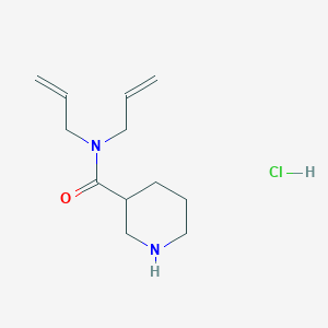 molecular formula C12H21ClN2O B1454154 N,N-二烯丙基-3-哌啶甲酰胺盐酸盐 CAS No. 1220033-56-6
