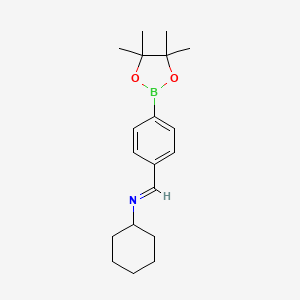 molecular formula C19H28BNO2 B1454300 4-(环己亚氨甲基)苯硼酸频哪醇酯 CAS No. 1218790-50-1