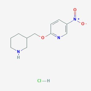 molecular formula C11H16ClN3O3 B1454319 5-Nitro-2-(3-piperidinylmethoxy)pyridine hydrochloride CAS No. 1185307-86-1