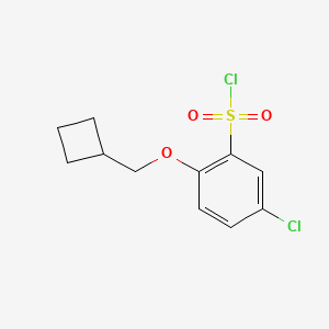 molecular formula C11H12Cl2O3S B1454566 5-Chloro-2-(cyclobutylmethoxy)benzene-1-sulfonyl chloride CAS No. 1485204-33-8