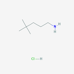 B1454713 4,4-Dimethylpentan-1-amine hydrochloride CAS No. 1266694-57-8