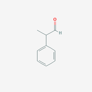 molecular formula C9H10O B145474 2-苯基丙醛 CAS No. 93-53-8