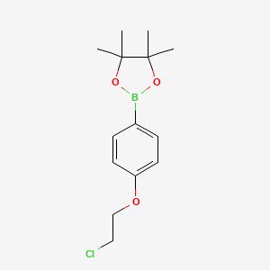 molecular formula C14H20BClO3 B1454840 2-(4-(2-氯乙氧基)苯基)-4,4,5,5-四甲基-1,3,2-二氧杂硼环丁烷 CAS No. 1256359-01-9