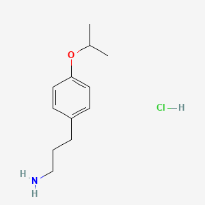 molecular formula C12H20ClNO B1454891 3-[4-(丙-2-氧基)苯基]丙-1-胺盐酸盐 CAS No. 1193388-53-2