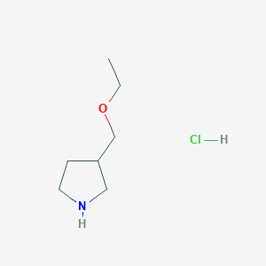 molecular formula C7H16ClNO B1454983 3-(乙氧甲基)吡咯烷盐酸盐 CAS No. 1185298-39-8