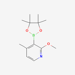 molecular formula C13H20BNO3 B1455054 2-甲氧基-4-甲基-3-(4,4,5,5-四甲基-1,3,2-二氧杂硼烷-2-基)吡啶 CAS No. 1420998-43-1