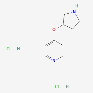 molecular formula C9H14Cl2N2O B1455246 4-(Pyrrolidin-3-yloxy)pyridine dihydrochloride CAS No. 1220040-28-7