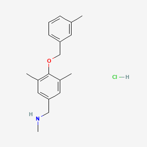 molecular formula C18H24ClNO B1455335 ({3,5-Dimethyl-4-[(3-methylphenyl)methoxy]phenyl}methyl)(methyl)amine hydrochloride CAS No. 1311316-37-6