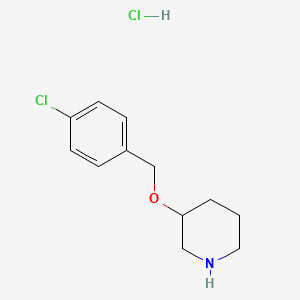 B1455446 3-[(4-Chlorobenzyl)oxy]piperidine hydrochloride CAS No. 1220033-10-2