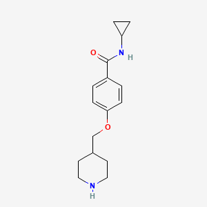 N-cyclopropyl-4-(piperidin-4-ylmethoxy)benzamide