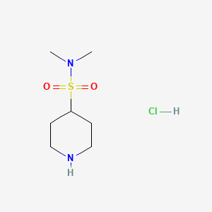 molecular formula C7H17ClN2O2S B1455628 N,N-二甲基哌啶-4-磺酰胺盐酸盐 CAS No. 956034-29-0