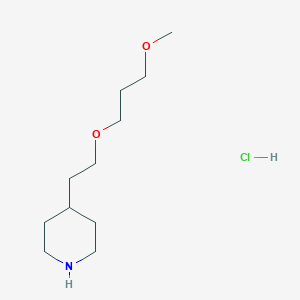 molecular formula C11H24ClNO2 B1455634 2-(4-哌啶基)乙基醚盐酸盐 CAS No. 1220031-40-2
