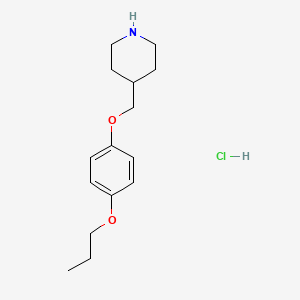 molecular formula C15H24ClNO2 B1455635 4-[(4-丙氧苯氧基)甲基]哌啶盐酸盐 CAS No. 1220037-45-5