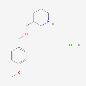 molecular formula C14H22ClNO2 B1455636 3-{[(4-甲氧基苄基)氧]甲基}哌啶盐酸盐 CAS No. 1219977-33-9