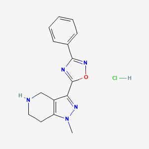 molecular formula C15H16ClN5O B1455647 1-methyl-3-(3-phenyl-1,2,4-oxadiazol-5-yl)-4,5,6,7-tetrahydro-1H-pyrazolo[4,3-c]pyridine hydrochloride CAS No. 1332528-88-7