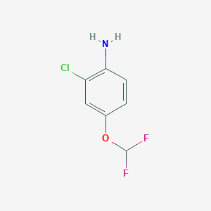 molecular formula C7H6ClF2NO B1455856 2-氯-4-(二氟甲氧基)苯胺 CAS No. 1247745-21-6
