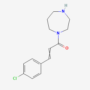 3-(4-Chlorophenyl)-1-(1,4-diazepan-1-yl)prop-2-en-1-one