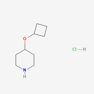 molecular formula C9H18ClNO B1456047 4-Cyclobutoxypiperidine hydrochloride CAS No. 1341037-74-8