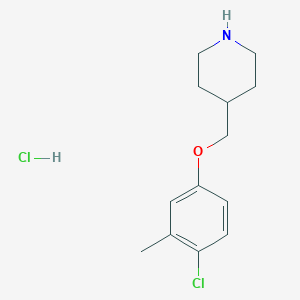 molecular formula C13H19Cl2NO B1456144 4-Chloro-3-methylphenyl 4-piperidinylmethyl ether hydrochloride CAS No. 1219961-01-9