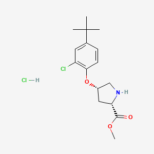 molecular formula C16H23Cl2NO3 B1456145 盐酸甲基 (2S,4S)-4-[4-(叔丁基)-2-氯苯氧基]-2-吡咯烷甲酸酯 CAS No. 1354487-93-6