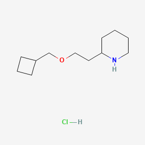 molecular formula C12H24ClNO B1456174 2-[2-(环丁基甲氧基)乙基]哌啶盐酸盐 CAS No. 1220020-76-7