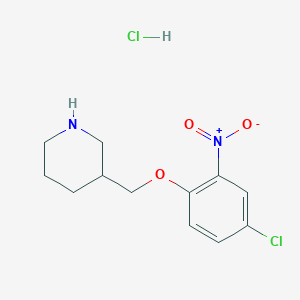 molecular formula C12H16Cl2N2O3 B1456183 3-[(4-Chloro-2-nitrophenoxy)methyl]piperidine hydrochloride CAS No. 1220032-97-2