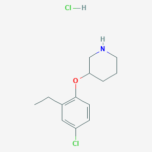 molecular formula C13H19Cl2NO B1456190 3-(4-氯-2-乙基苯氧基)哌啶盐酸盐 CAS No. 1220018-98-3