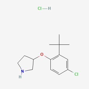 B1456201 3-[2-(tert-Butyl)-4-chlorophenoxy]pyrrolidine hydrochloride CAS No. 1146960-57-7