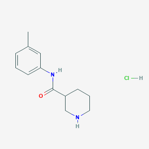 molecular formula C13H19ClN2O B1456230 N-(3-甲苯基)-3-哌啶甲酰胺盐酸盐 CAS No. 1220020-06-3