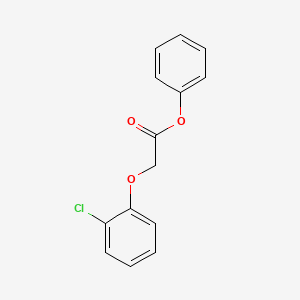 molecular formula C14H11ClO3 B14562361 Phenyl (2-chlorophenoxy)acetate CAS No. 62095-50-5