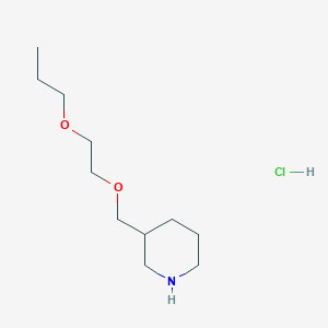 molecular formula C11H24ClNO2 B1456242 3-[(2-Propoxyethoxy)methyl]piperidine hydrochloride CAS No. 1220033-25-9